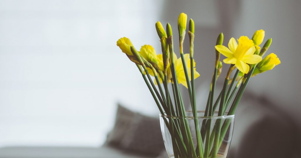 Selling Your Home in Spring: 5 Mistakes to Avoid | Sylvain Bourgon